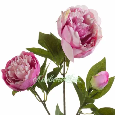пион , пионы , искусственные цветы , декоративные цветы , цветок , цветы  оптом , пионы оптом , розы , роза , бутон , бутоны роз , цветы для  бутоньерки , цветы для веночка , тканевые цветы