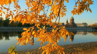 🍂Золотая осень в Екатерингофе・🌇Нарвская・Прогулка по Питеру・2021・Санкт-Петербург・СПб・Алексей  Михайлов - YouTube