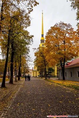 Тема без темы. Осень, Питер ...