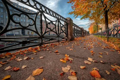 Осень на Мойке. Фотограф Чиж Андрей