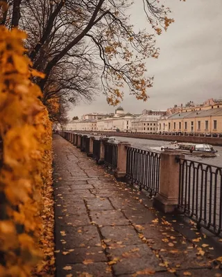 Осень в Санкт-Петербурге | Пикабу