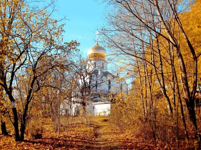 Когда лучше ехать в Санкт Петербург? | Лучшее время года