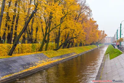 Осень в Питере / Архитектура / Клуб владельцев техники Olympus