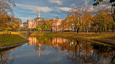 Самые сказочные фотографии золотой осени в Петербурге - KP.RU