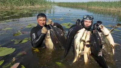 Подводная охота в Астрахани, подводная рыбалка в дельте Волги
