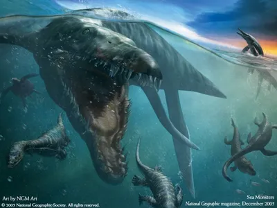 Морские чудовища - реальные свидетельства – Мир Знаний