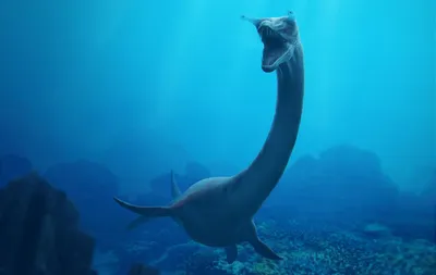 Все еще не верите в морских чудовищ? Доисторический подводный монстр напал  на людей в Черном море - ЗНАЙ ЮА
