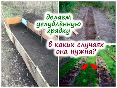 Углубленная грядка – для каких целей и регионов подойдёт?