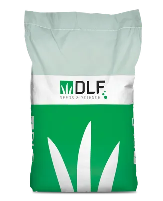 Полевица побегоносная Agrostis stolonifera L. DLF Trifolium - 25 кг -  купить по лучшей цене в Киеве от компании \"АГРОХИМ agrohim.in.ua\" -  958287601