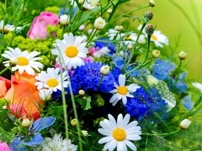 Букет полевых цветов - Пазлы - собирать пазлы бесплатно онлайн без  регистрации