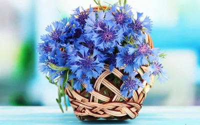 Букет Полевые цветы — купить в интернет-магазине по низкой цене на Яндекс  Маркете