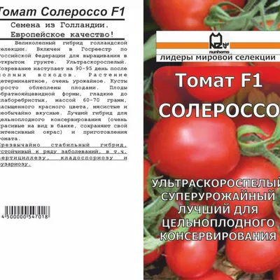 Томат Солероссо F1 - фото урожая, цены, отзывы и особенности выращивания
