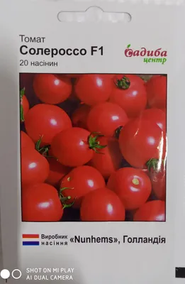 Насіння помідор ультраранній Солероссо F1 20 шт. \"Nunhems\" Голландія, ціна  20 грн — Prom.ua (ID#1353011558)