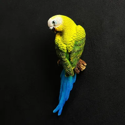 Купить Волнистый попугай. (Малыши) в Киеве от Afrikan Parrot - 15855203