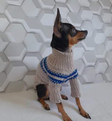 Свитер для собак мелких и средних пород/вязаный свитер для собак и лысых  кошек, М , бежевый — купить в интернет-магазине OZON с быстрой доставкой