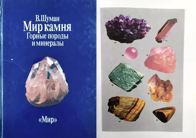 Коллекция минералов и горных пород (12 образцов)