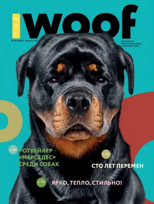 The WOOF - январь-февраль 2021 by thewoofmagazine - Issuu