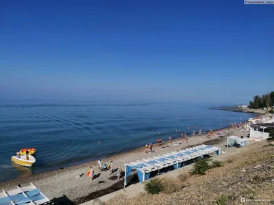 Россия, Краснодарский край, г. Сочи, п.Вардане - «Отдыхаем в поселке 4  раз🏖️. Изменила оценку за несколько дней до отъезда. За 7 дней отдыха  видели дельфинов 8 раз🐬 » | отзывы