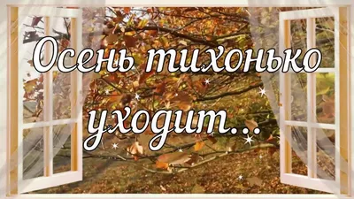 Доброе утро ! Сегодня последний день осени 🍁 Желаем прекрасного ...