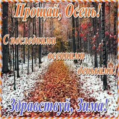 В Украину идет похолодание – синоптик рассказала о погоде в последний день  осени