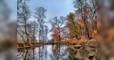 Татьяна Снежина (Tatyana Snezhina) – Последний день осени (Last day of  autumn) Lyrics | Genius Lyrics