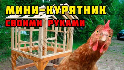 Как построить курятник своими руками | Большой ремонт