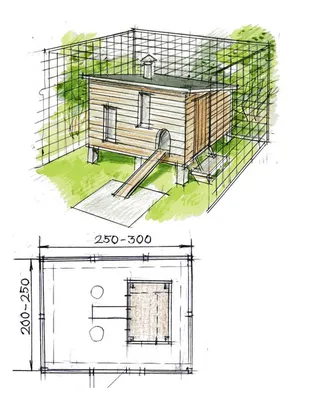 Как Построить Курятник — 10 проектов с Чертежами и Фото — Мои Идеи Для Дачи  и Сада