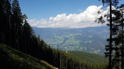 MTB: Ramlitzer Schwaige и Unterpulghütte из Лайона