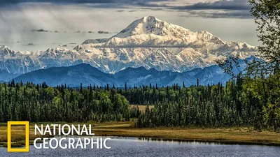 Денали - царство дикой природы на Аляске. Первозданная природа. Эдем жизни  (National Geographic) - YouTube