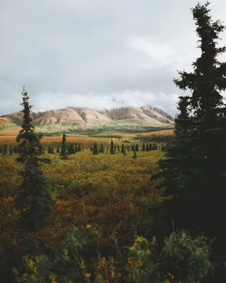 Природа Аляски на снимках Патрика Туна - Zefirka