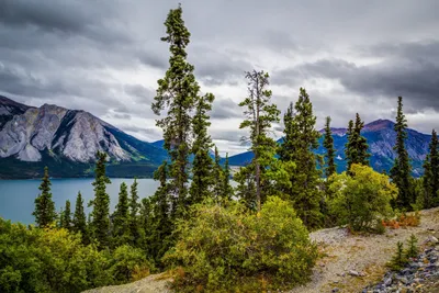 Обои на монитор | Природа | Аляска, природа, горы, озеро, деревья
