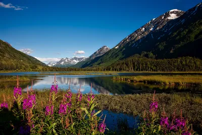 Обои на монитор | Природа | Аляска, горы, Леса, озеро, травы