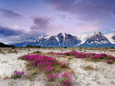 Аляска, Природа, Горы: обои для рабочего стола | Бесплатно Скачать заставки