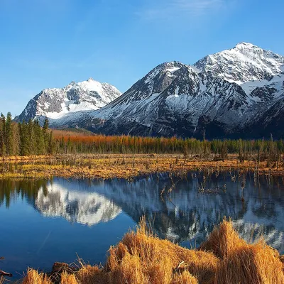 Природа Аляски - фото и картинки: 63 штук