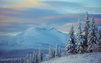 Обои Аляска, снег, гора, зима, природа - картинка на рабочий стол и фото  бесплатно