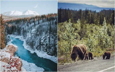 Красивая природа Аляски на фотографиях Патрика Туна