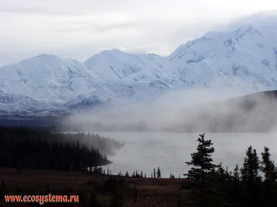 Живописные Горы Аляски Летом Заснеженные Массивы Ледники Скалистые Вершины  стоковое фото ©kamchatka 405867530