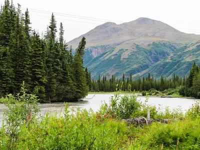 Природа Аляски - Бон Тур