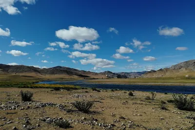 Природа Монголии | Команда EX-PRO