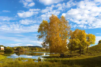 природа Монголии одичалая Красивый вид озера Hovsgol и восточного Sayan  Риджа Стоковое Фото - изображение насчитывающей ð±oð»ñœñˆ, ñ ð²ðµð¶ðµ:  118335438