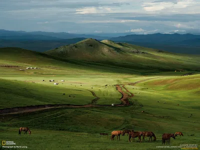 Монголия перезапускает въездной туризм и приглашает российских  туроператоров на форум в феврале | Ассоциация Туроператоров