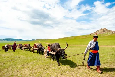 о Монголии — DRIVE2