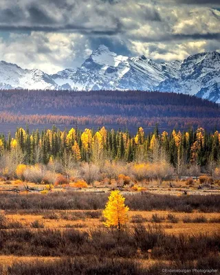 Панорамный вид природы Монголии Стоковое Фото - изображение насчитывающей  монгол, ландшафт: 211576514