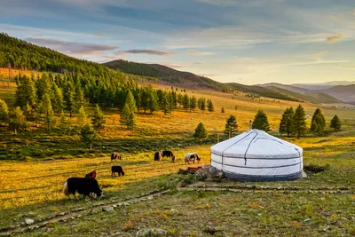 Отдых в Монголии. Вся информация о Монголии: погода, города, виза