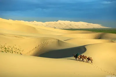 Монголия | Бичура