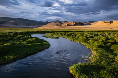 Монгольский Алтай | Пикабу
