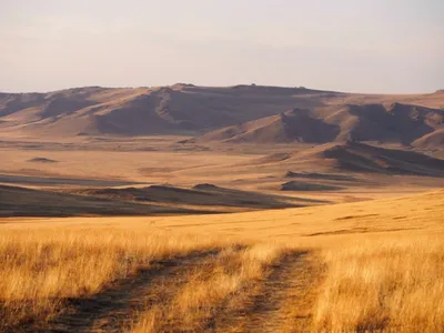 Монголия, нетронутая природа | Пикабу