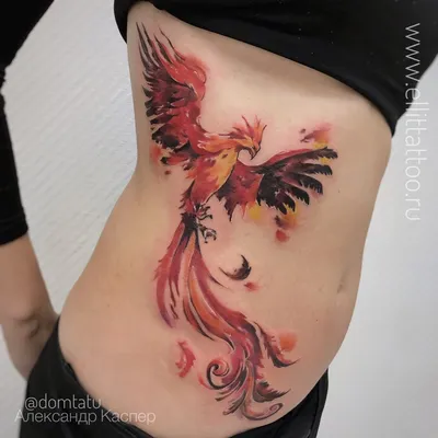 фото цветной женской татуировки на ребрах птица феникс перекрытие старой  татуировки кавер ап / Тату салон «Дом Элит Тату»