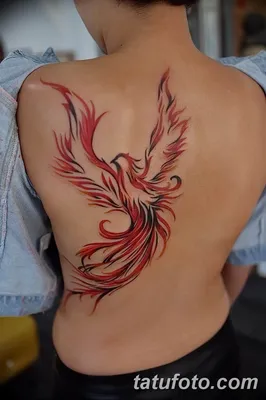 Фото тату феникс для девушек 18.07.2019 №013 - tattoo phoenix for girls -  tatufoto.com - tatufoto.com