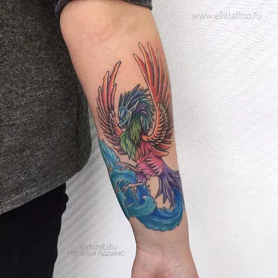 фото женской цветной татуировки на руке птица феникс жар-птица / Тату салон  «Дом Элит Тату»